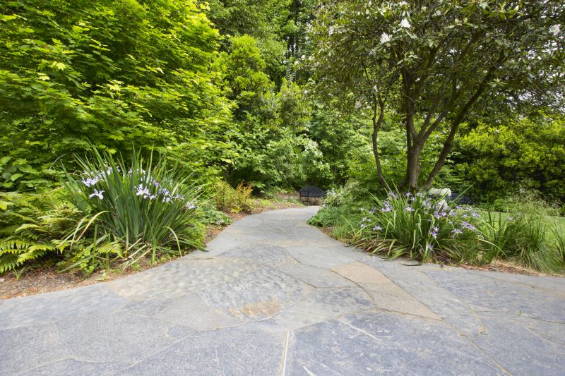 Outdoor Paver Pathway